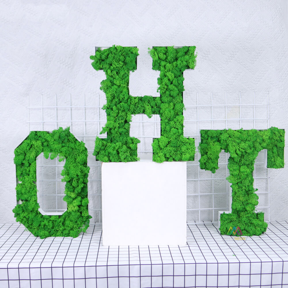 Personalized 3D Moss Sign - Wall Logo Sign for Office, Salon