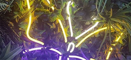 Theme Neon Signs