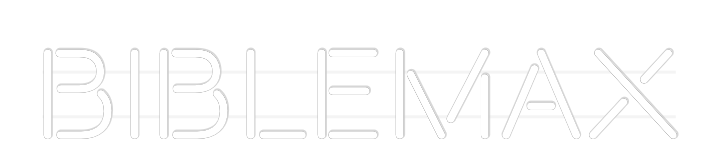 Custom Neon: BIBLEMAX