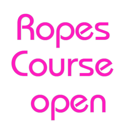 Custom Neon: Ropes 
Cours...