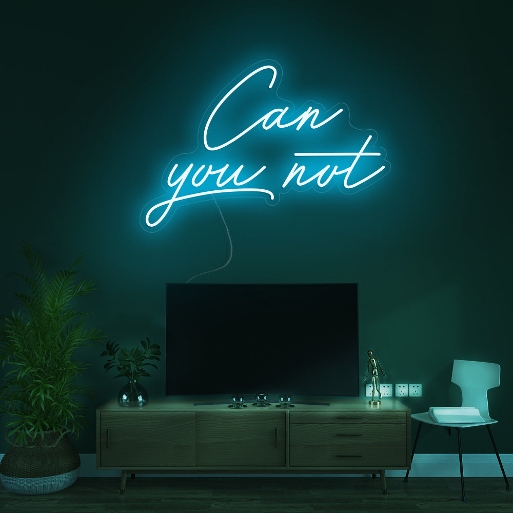 Can you not- LED Neon Signs