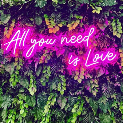 All you need is Love - LED Neon Signs